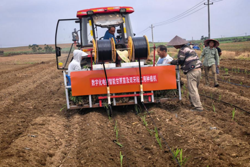 广西农科院科技人员参加甘蔗粉垄单芽机械深种技术现场观摩会